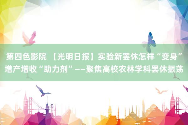 第四色影院 【光明日报】实验新罢休怎样“变身”增产增收“助力剂”——聚焦高校农林学科罢休振荡