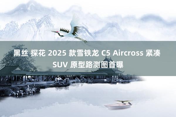 黑丝 探花 2025 款雪铁龙 C5 Aircross 紧凑 SUV 原型路测图首曝