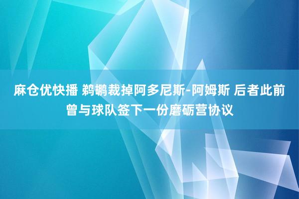 麻仓优快播 鹈鹕裁掉阿多尼斯-阿姆斯 后者此前曾与球队签下一份磨砺营协议