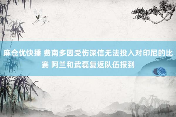 麻仓优快播 费南多因受伤深信无法投入对印尼的比赛 阿兰和武磊复返队伍报到