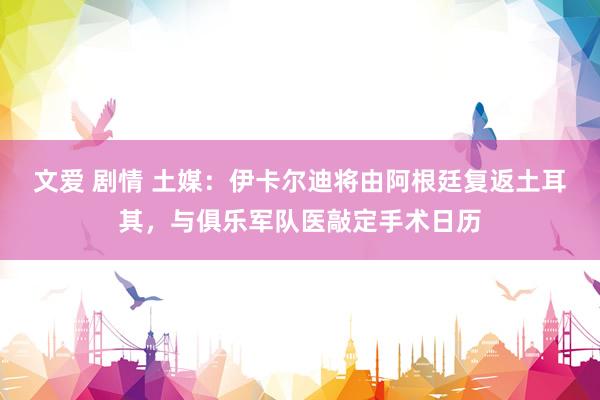文爱 剧情 土媒：伊卡尔迪将由阿根廷复返土耳其，与俱乐军队医敲定手术日历