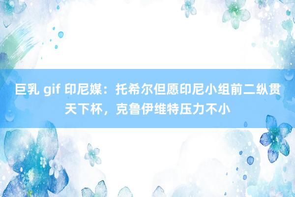 巨乳 gif 印尼媒：托希尔但愿印尼小组前二纵贯天下杯，克鲁伊维特压力不小